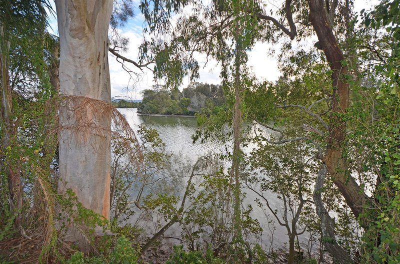 Photo - Lot 38 Rawdon Island Road, Rawdon Island NSW 2446 - Image 4