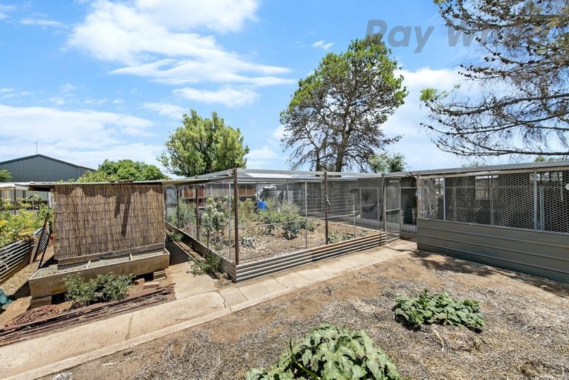 Photo - Lot 387 Lines Road, Wasleys SA 5400 - Image 19