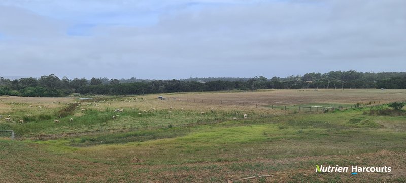 Photo - Lot 39 Elizabeth Street, Bayonet Head WA 6330 - Image 7