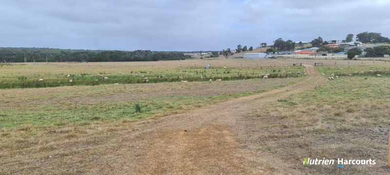 Photo - Lot 39 Elizabeth Street, Bayonet Head WA 6330 - Image 9