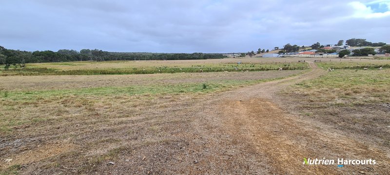 Photo - Lot 39 Elizabeth Street, Bayonet Head WA 6330 - Image 11