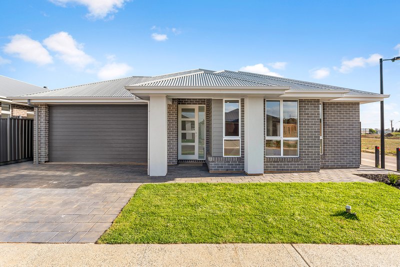 Photo - Lot 39 Teofilo Street, Angle Vale SA 5117 - Image 19