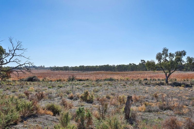 Photo - Lot 4, 213 Nerrum Avenue, Red Cliffs VIC 3496 - Image 3