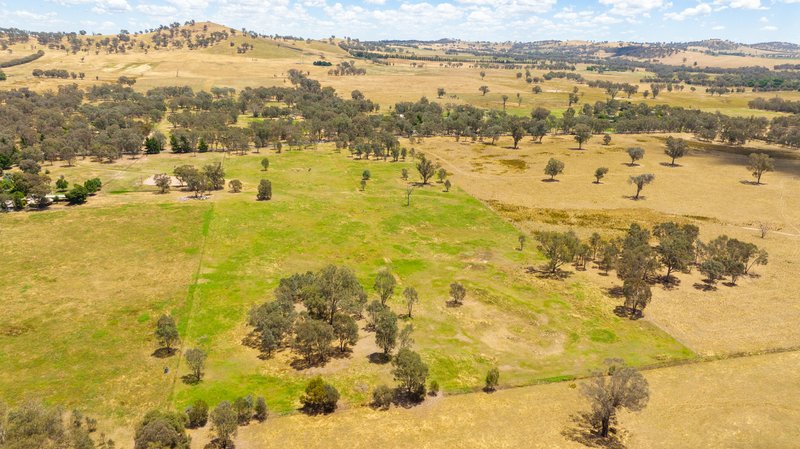 Photo - Lot 4 81 Bungowannah Road, Jindera NSW 2642 - Image 3