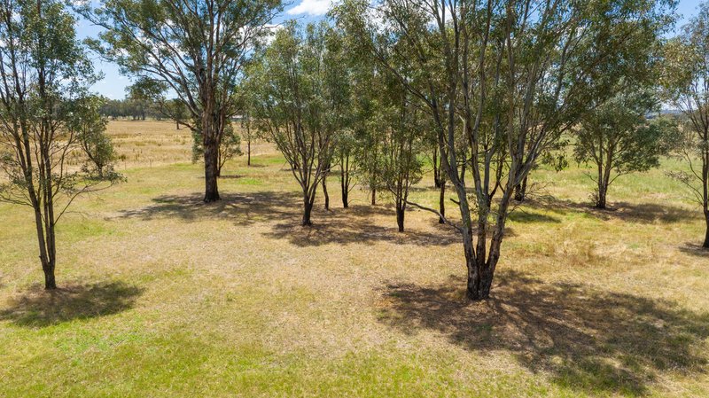 Photo - Lot 4 81 Bungowannah Road, Jindera NSW 2642 - Image 8