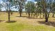 Photo - Lot 4 81 Bungowannah Road, Jindera NSW 2642 - Image 9