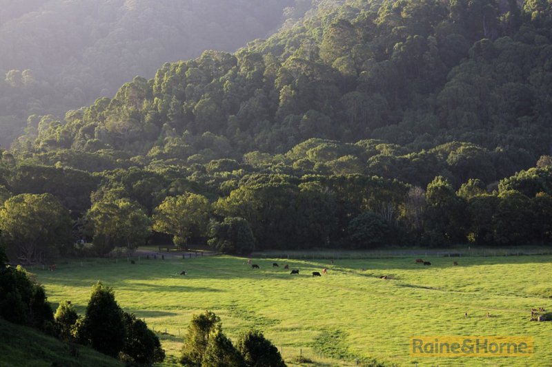 Photo - Lot 4 & B 803 Cudgera Creek Road, Cudgera Creek NSW 2484 - Image 11