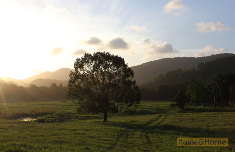 Photo - Lot 4 & B 803 Cudgera Creek Road, Cudgera Creek NSW 2484 - Image 12