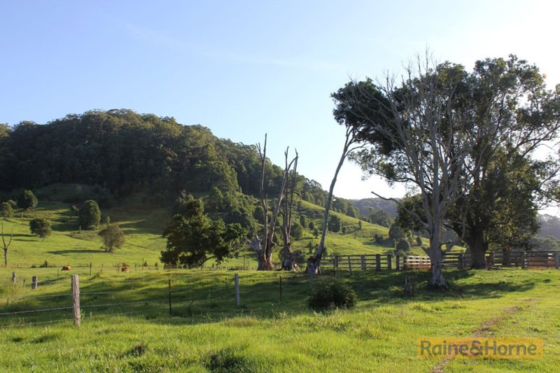 Photo - Lot 4 & B 803 Cudgera Creek Road, Cudgera Creek NSW 2484 - Image 13