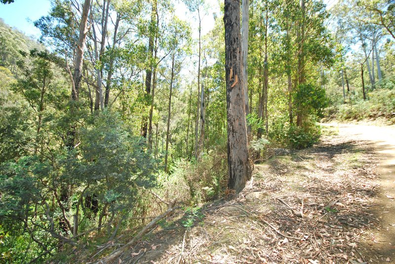 Lot 4 Back River Road, Magra TAS 7140