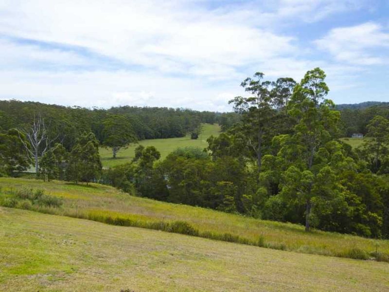 Photo - Lot 4 'Blu Clarendon Forest Retreat, Failford NSW 2430 - Image 17