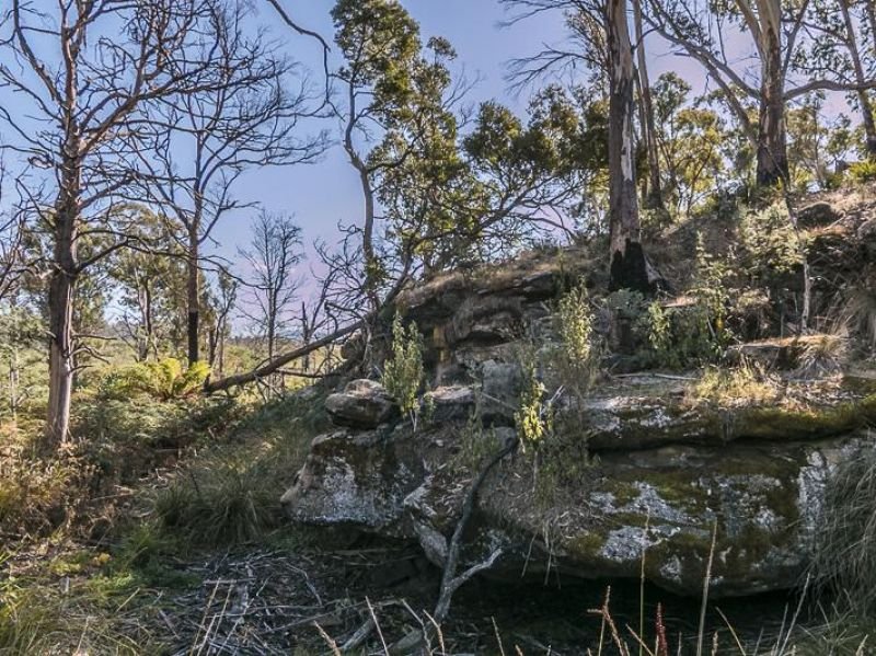 Photo - Lot 4 Dawson Road, Ouse TAS 7140 - Image 2