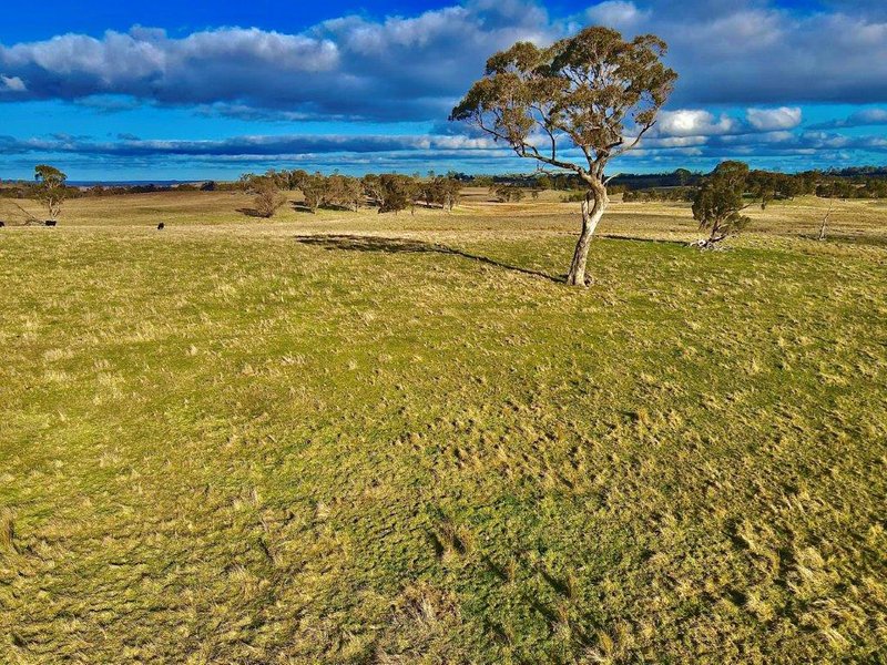 Photo - Lot 4 DP1119332 Mount Rae Road Roslyn , Crookwell NSW 2583 - Image 2