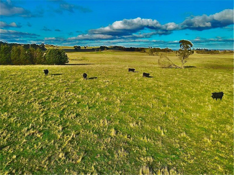 Photo - Lot 4 DP1119332 Mount Rae Road Roslyn , Crookwell NSW 2583 - Image 4