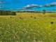 Photo - Lot 4 DP1119332 Mount Rae Road Roslyn , Crookwell NSW 2583 - Image 4