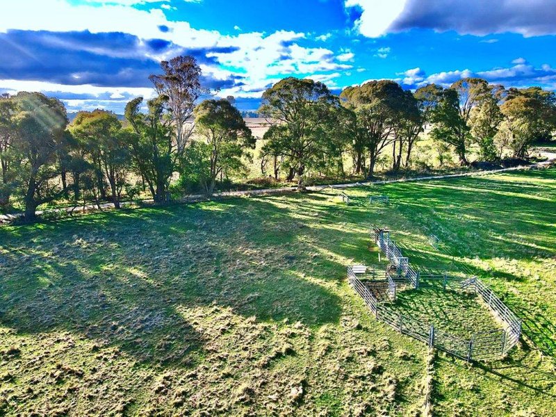 Photo - Lot 4 DP1119332 Mount Rae Road Roslyn , Crookwell NSW 2583 - Image 7