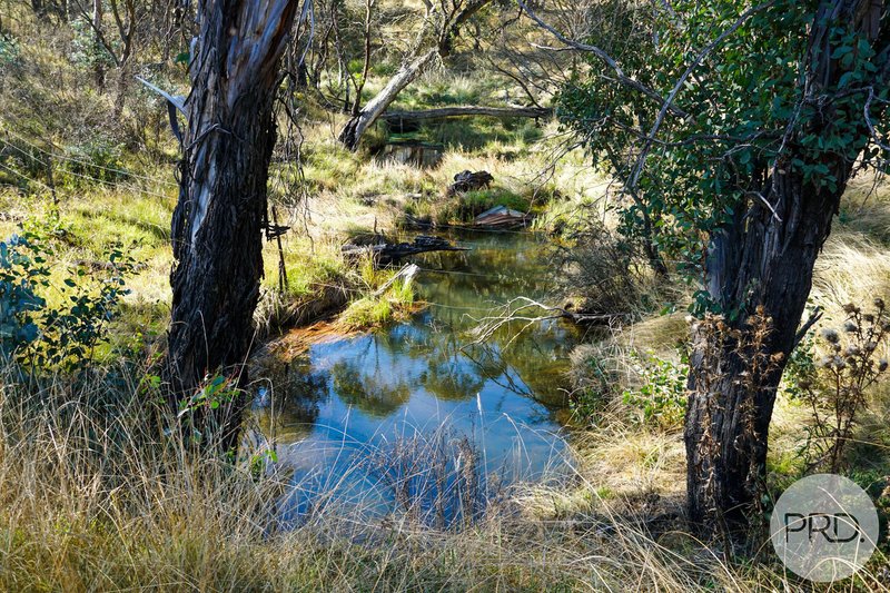 Lot 4 East Bago Powerline Road, Tumbarumba NSW 2653