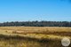 Photo - Lot 4 East Bago Powerline Road, Tumbarumba NSW 2653 - Image 3