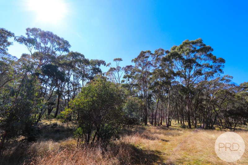 Photo - Lot 4 East Bago Powerline Road, Tumbarumba NSW 2653 - Image 4