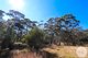 Photo - Lot 4 East Bago Powerline Road, Tumbarumba NSW 2653 - Image 4