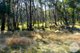 Photo - Lot 4 East Bago Powerline Road, Tumbarumba NSW 2653 - Image 5