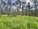 Photo - Lot 4 Gaeta Road, Gaeta QLD 4671 - Image 1