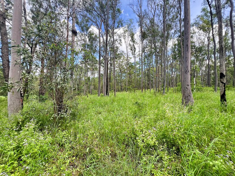 Photo - Lot 4 Gaeta Road, Gaeta QLD 4671 - Image 2