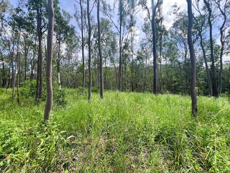 Photo - Lot 4 Gaeta Road, Gaeta QLD 4671 - Image 3