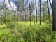 Photo - Lot 4 Gaeta Road, Gaeta QLD 4671 - Image 4