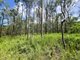 Photo - Lot 4 Gaeta Road, Gaeta QLD 4671 - Image 6