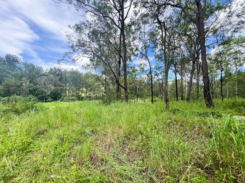 Photo - Lot 4 Gaeta Road, Gaeta QLD 4671 - Image 7