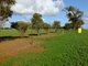 Photo - Lot 4 Haselgrove Road, Kadina SA 5554 - Image 6