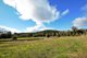 Photo - Lot 4 Hitchcock Drive, Nannup WA 6275 - Image 5