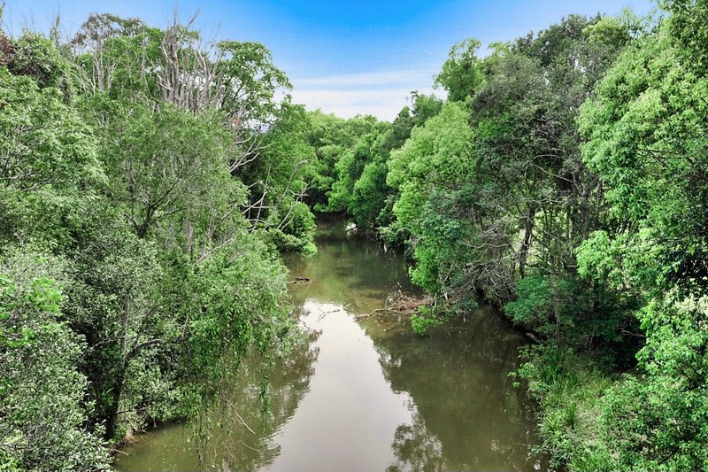 Photo - Lot 4 Hogans Road, Bilambil NSW 2486 - Image 6