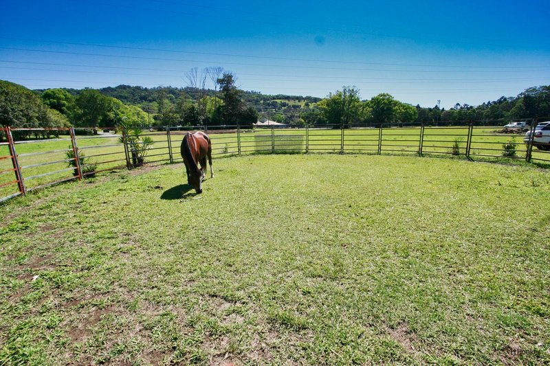 Photo - Lot 4 Hogans Road, Bilambil NSW 2486 - Image 9