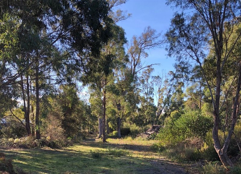 Lot 4 Jefkins Drive, Port Sorell TAS 7307