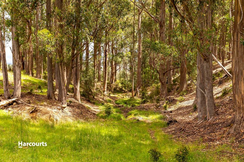 Photo - Lot 4 Jordans Road, Mountain River TAS 7109 - Image 6