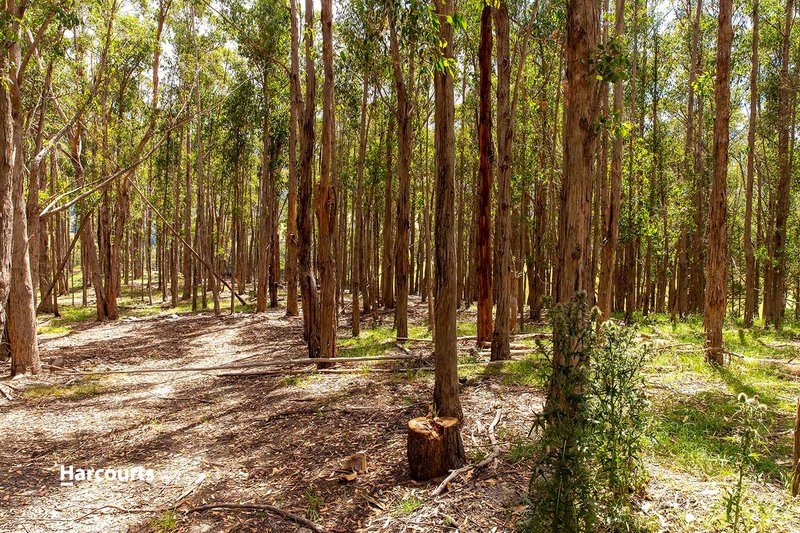 Photo - Lot 4 Jordans Road, Mountain River TAS 7109 - Image 11