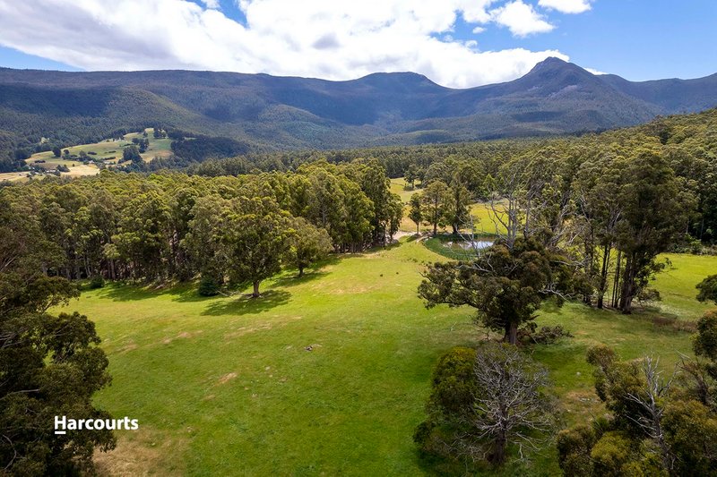 Photo - Lot 4 Jordans Road, Mountain River TAS 7109 - Image 15