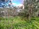 Photo - Lot 4 Lirema Court, Delan QLD 4671 - Image 9