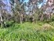 Photo - Lot 4 Lirema Court, Delan QLD 4671 - Image 10