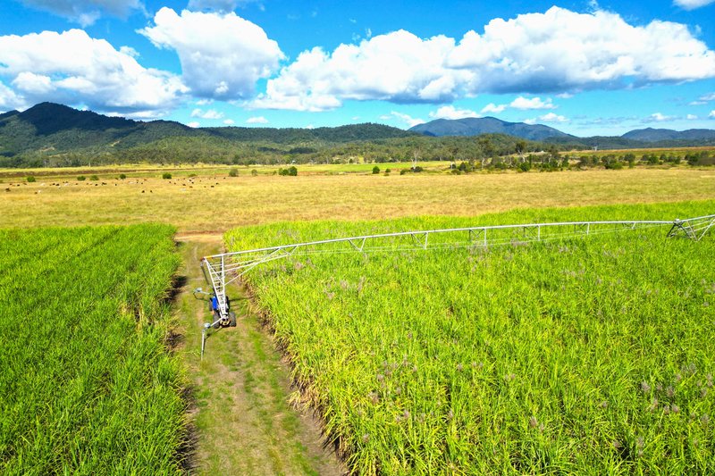 Photo - Lot 4 Marge Camerons Road, Marian QLD 4753 - Image 5