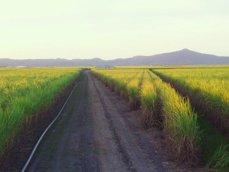 Photo - Lot 4 Marge Camerons Road, Marian QLD 4753 - Image 7