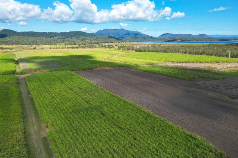 Photo - Lot 4 Marge Camerons Road, Marian QLD 4753 - Image 8