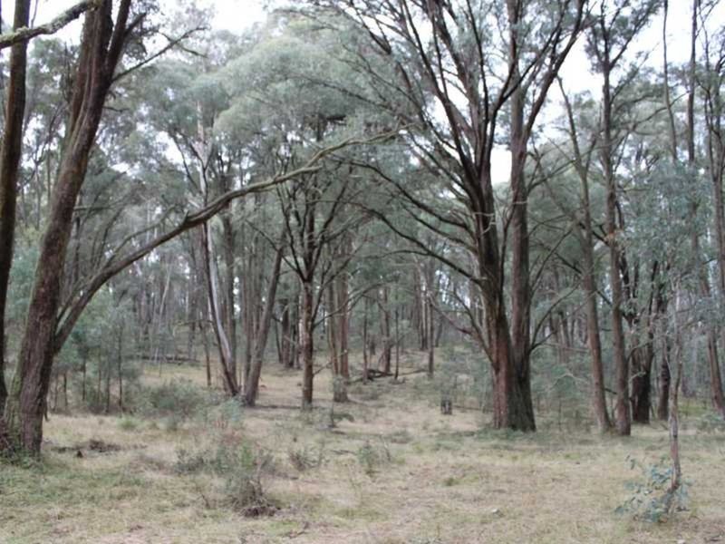 Lot 4 Moody'S Hill Road, Tumbarumba NSW 2653