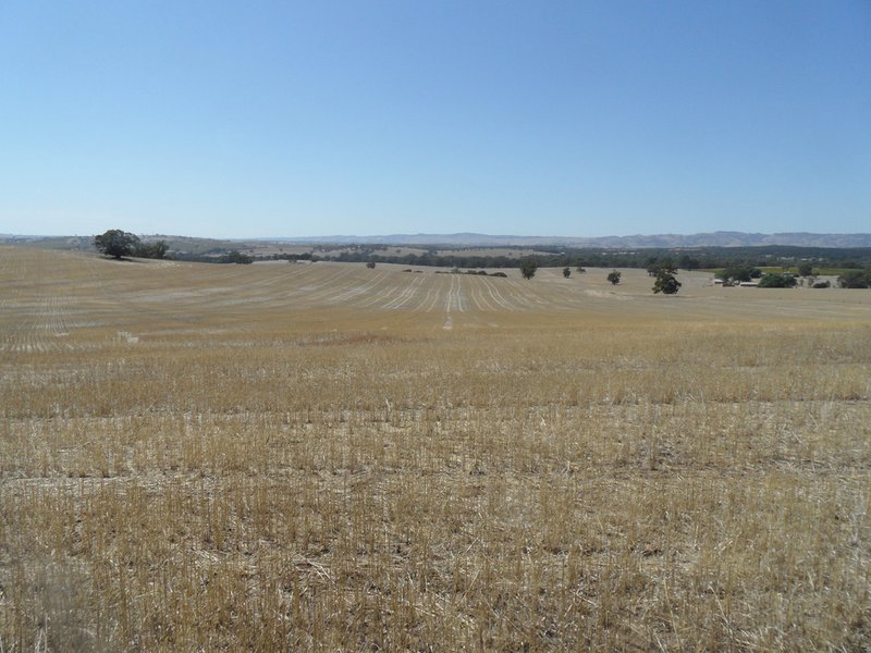 Photo - Lot 4 Mugge Road, Sandy Creek SA 5350 - Image 2