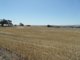 Photo - Lot 4 Mugge Road, Sandy Creek SA 5350 - Image 3