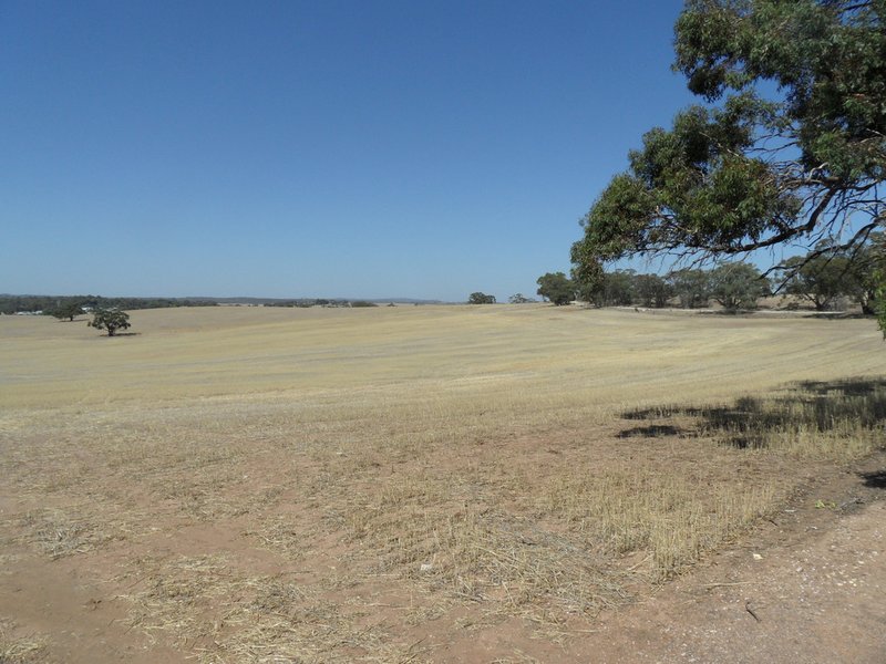 Photo - Lot 4 Mugge Road, Sandy Creek SA 5350 - Image 6