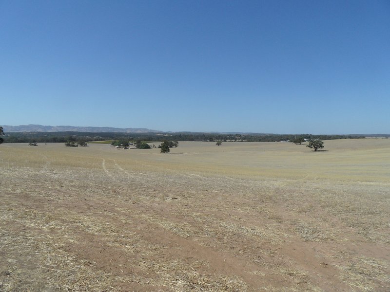 Photo - Lot 4 Mugge Road, Sandy Creek SA 5350 - Image 7