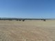 Photo - Lot 4 Mugge Road, Sandy Creek SA 5350 - Image 7